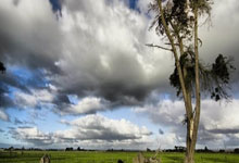 1XBET官网：欧冠：意大利国际米兰队战胜英格兰阿申纳.